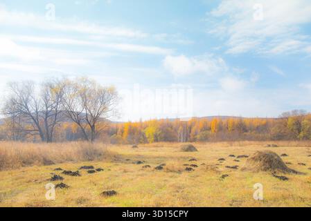 Un'atmosfera da sogno del paesaggio autunnale all'aperto che cattura una montagna e un bosco allegri e speranzosi della madre natura. Foto Stock