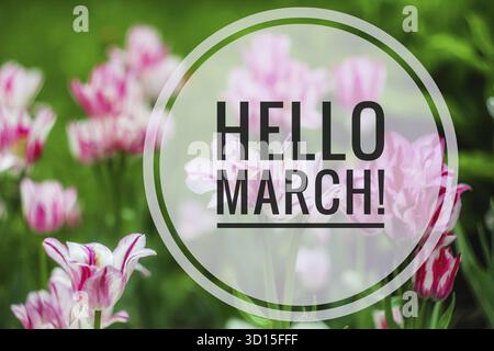 Banner Ciao a marzo. Cartolina . Saluti di primavera. Stiamo aspettando la primavera. Ciao a marzo Foto Stock