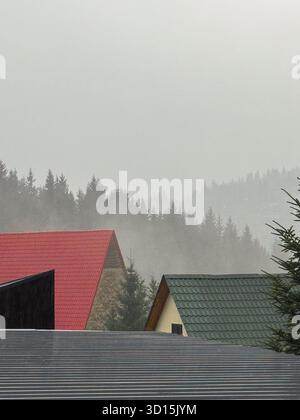 Un paesaggio nebbioso caratterizzato da tetti di case in vari colori, circondati da fitti alberi sempreverdi e montagne nebbiose sullo sfondo. Foto Stock
