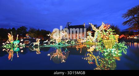 Giardino Cinese illuminato di notte con statuette colorate riflesse sull'acqua, padiglione Cinese e torre dello stadio Foto Stock