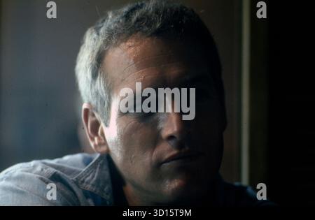 STOCKTON, CALIFORNIA, USA - circa 1 novembre 1966 - l'attore Paul Newman sul set del film Cool Hand Luke a Stockton, California, USA - foto: Geopix/Jim Hansen Foto Stock