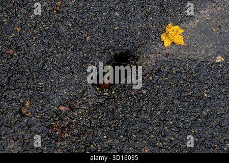 Foro per lavello sotto il marciapiede asfaltato nel Kent, Regno Unito Foto Stock