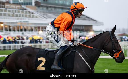 Liverpool, Regno Unito, domenica 26 ottobre 2025; Edith Pelham e il fantino Jonathan Burke vincono la gara di caccia pianeggiante Racing TV Mares Open National Hunt per l'allenatore Fergal o'Brien e la proprietaria Mrs J May. Crediti JTW equine Images / Alamy Live News. Foto Stock