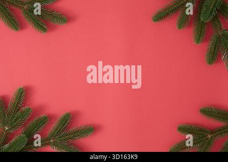 Rami di abete che incorniciano uno sfondo rosso Foto Stock