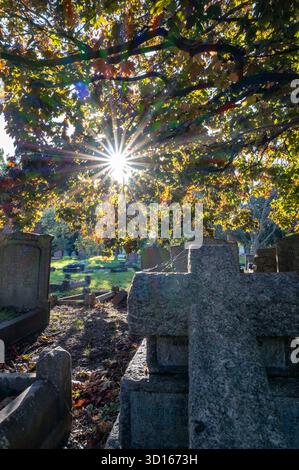 Hanwell Cemetery, Ealing, Londra Foto Stock