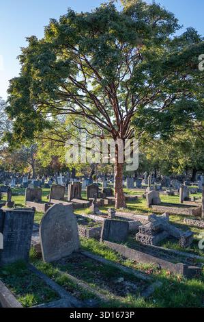 Hanwell Cemetery, Ealing, Londra Foto Stock
