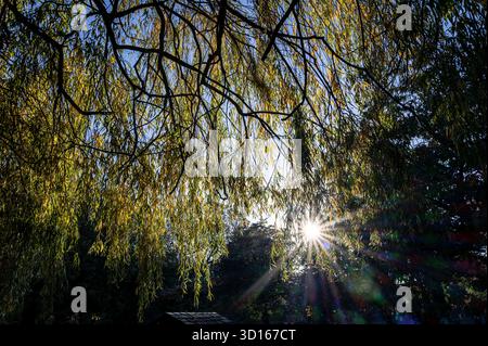 Hanwell Cemetery, Ealing, Londra Foto Stock