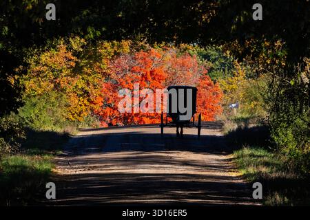 Carrozza Amish trainata da cavalli su strada di campagna attraverso il paese Amish nella contea di Mecosta, Michigan, Stati Uniti [Nessuna versione; solo licenza editoriale] Foto Stock