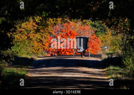 Carrozza Amish trainata da cavalli su strada di campagna attraverso il paese Amish nella contea di Mecosta, Michigan, Stati Uniti [Nessuna versione; solo licenza editoriale] Foto Stock