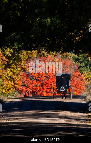 Carrozza Amish trainata da cavalli su strada di campagna attraverso il paese Amish nella contea di Mecosta, Michigan, Stati Uniti [Nessuna versione; solo licenza editoriale] Foto Stock