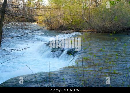 Una serena vista di una piccola cascata lungo il fiume Niagara a New York, circondata da fogliame primaverile e da una luce dolce che si riflette sull'acqua che scorre. Foto Stock