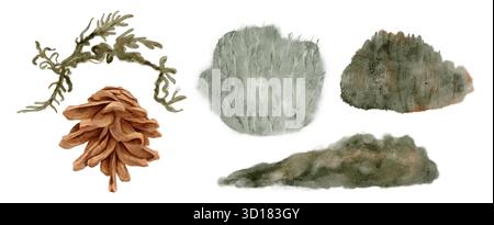 Design di piante ecocompatibili, autentiche opere d'arte botaniche con sfumature terrose e licheni testurizzati per un marchio sostenibile, set di illustrazioni isolate disegnate a mano ad acquerello Foto Stock