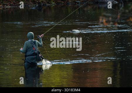 Pesca con la mosca Housatonic River   Cornovaglia, Connecticut, Stati Uniti Foto Stock