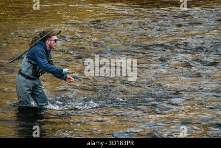 Pesca con la mosca Housatonic River   Cornovaglia, Connecticut, Stati Uniti Foto Stock
