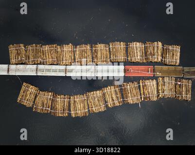 Configurazione dello stoccaggio di log d'acqua su una piattaforma galleggiante con tronchi disposti in modo ordinato per il trasporto Foto Stock