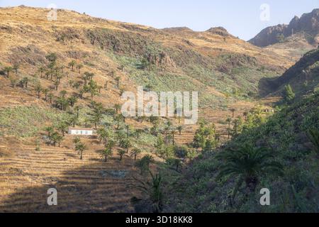 I suggestivi campi terrazzati e le palme di la Gomera invitano a esplorare la Spagna sotto il sole luminoso Foto Stock