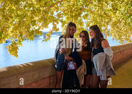 Amici che ridono guardando lo smartphone in autunno a tolosa Foto Stock