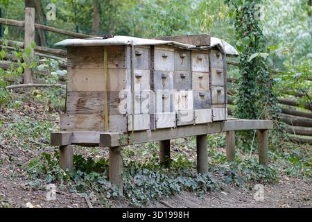File di alveari in un paesaggio rurale Foto Stock
