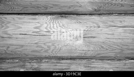 Primo piano dettagliato di un tronco di legno grigio che mostra motivi a grana naturale, consistenza del legno e nodi. Texture foto di sfondo, vista frontale. Ideale per l'arco Foto Stock