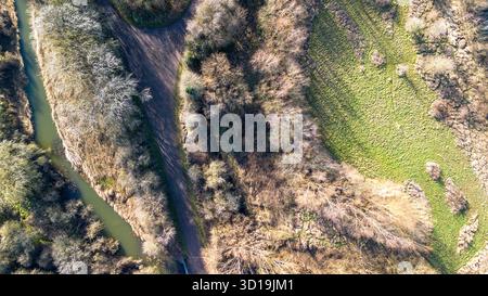 Foto aerea con droni dall'alto verso il basso di boschi, canali d'acqua e prati a Irthlingborough Lakes and Meadows, Northamptonshire. Foto Stock