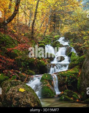 Cascata circondata da alberi con foglie dai colori autunnali e rocce piene di muschio a Serra da Estrela in Portogallo. Foto Stock