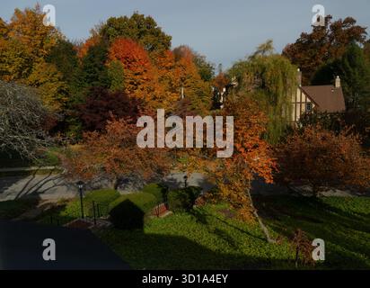 La vista della vivace tavolozza dell'autunno dipinge il paesaggio con rossi, arance e gialli dorati ardenti, in contrasto con i sempreverdi di Poughkeepsie, New York, Stati Uniti. Foto Stock