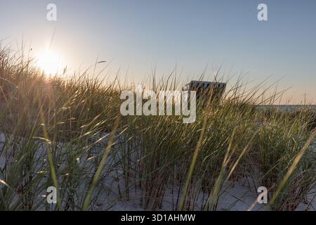 atmosfera serale sulla spiaggia del mar baltico Foto Stock