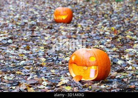Illuminare Jack-o'-Lanterne su un pavimento della foresta con foglie autunnali Foto Stock