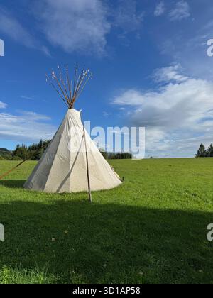Il teepee si trova in un campo erboso Foto Stock