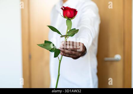 Amore, dono e mani dell'uomo con rosa per data, romanticismo e speranza per la confessione del giorno delle valentine. Uomo che dona un fiore romantico, persona che tiene un ballo floreale Foto Stock
