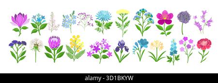Collezione di elementi floreali colorati primaverili vettoriali. Crea un motivo floreale di fiori selvatici, ramoscelli di foglie e fogliame su sfondo bianco. Fioritura disegnata a mano Illustrazione Vettoriale