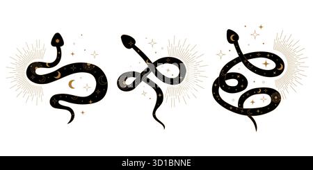 Serpenti sacri stilizzati in modelli geometrici mistici che rappresentano il risveglio Kundalini. Illustrazione simbolica della guarigione della trasformazione del flusso di energia Illustrazione Vettoriale