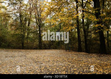 Campo da pallacanestro vuoto ricoperto di foglie d'autunno gialle circondate da alberi. Tranquillo scenario stagionale che simboleggia la calma e la solitudine. Foto Stock
