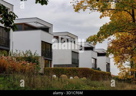 Una fila di case moderne con tetti grigi e pareti bianche sono visibili in un paesaggio con fogliame autunnale. Foto Stock
