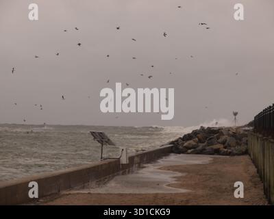 Mari pesanti a Manasquan Inlet vicino a Point Pleasant, New Jersey, durante una recente "Nor'easter". Foto Stock