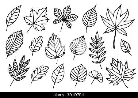 Collezione di foglie autunnali in stile black line art. Include diverse forme di foglie come acero, quercia e castagno. Ideale per colorare libri, adesivi, Illustrazione Vettoriale