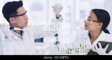 Team, scienziato o provetta per la ricerca di piante, sviluppo medico o esperimento ogm. Laboratorio scientifico, botanica o collaborazione di persone con pipette Foto Stock