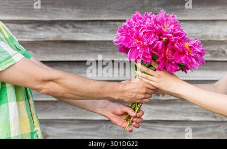 L'uomo in camicia casual regala alla donna un bellissimo bouquet di peonia rosa contro una parete rustica in legno. Simboleggia il saluto, la celebrazione, l'apprezzamento o il romanticismo Foto Stock
