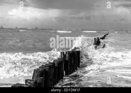 Seascape bianco e nero con onde che si infrangono e paletti in legno intemperie Foto Stock