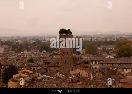 Vista aerea della Torre Guinigi con i suoi alberi sul tetto che si innalzano sopra il centro storico di Lucca, Toscana, Italia, in un pomeriggio nebuloso. Foto Stock