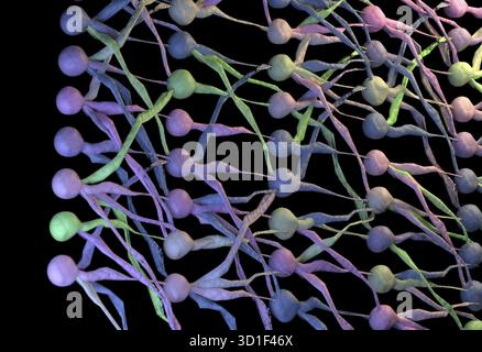 Cellule neuroniche artificiali nette con collegamenti. Rendering 3D. Foto Stock