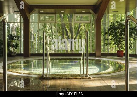 Grande e lussuosa vasca jacuzzi rotonda nel verde centro spa, la mattina presto Foto Stock