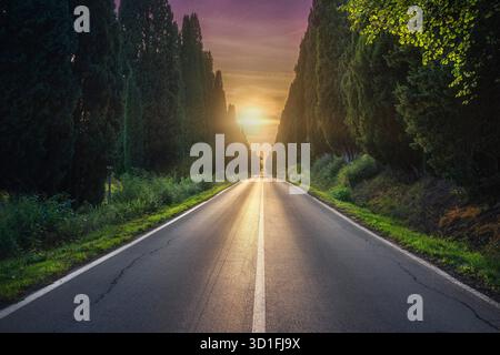 Bolgheri famosi cipressi alberi dritto viale paesaggio al tramonto. Maremma, Toscana, Italia, Europa. Foto Stock