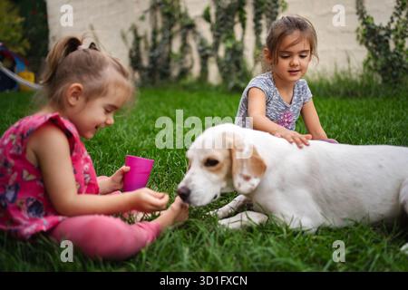 Due ragazze gioiose che giocano con un cane amichevole in un giardino vivace Foto Stock