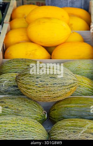 Meloni freschi pronti per la vendita in un mercato, Nyons, Drome, Auvergne, Rodano Alpi, Francia Foto Stock