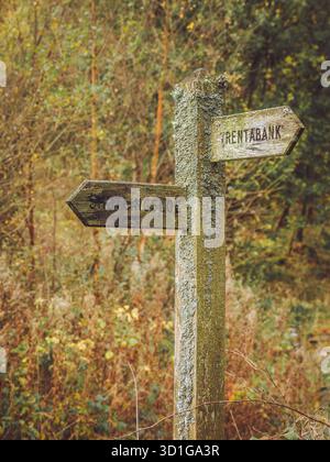 Un cartello con il dito coperto di licheni nel Peak District che indica Shutlingsloe e Trentabank Foto Stock