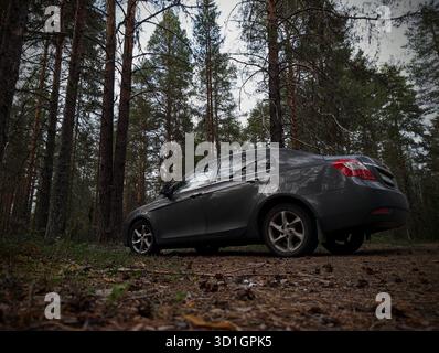 Un'elegante e moderna auto grigia parcheggiata su un sentiero nella foresta, circondata da alberi alti e terreni, crea un'atmosfera serena perfetta per gli amanti della natura Foto Stock