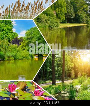 Un vivace collage presenta cinque sezioni di un lussureggiante parco estivo, che presenta un tranquillo laghetto con pedalò e ninfee Foto Stock