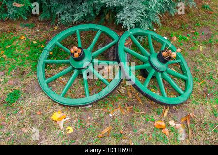Due antiche ruote in legno dipinte di verde poggiano sull'erba, circondate da noci e foglie cadute. L'immagine evoca una sensazione autunnale rustica, simboleggiante Foto Stock