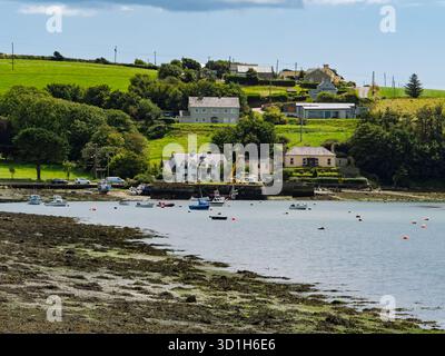 Le case si trovano su di una collina verde e si affacciano su un tranquillo porto. Diverse barche sono ormeggiate in acqua. Situato a West Cork, la scena mostra un tranquillo Iris Foto Stock
